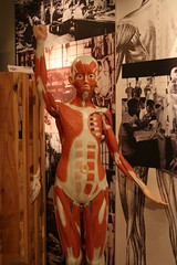 figure of human body01