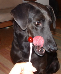 Lollipop1