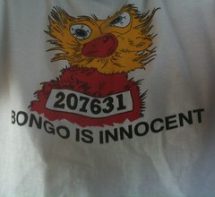 Bongo is innocent