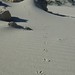 Formentera - Caminant per les dunes amb peus petit