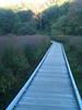 Boardwalk, Minute Man National historic Park, Concord MA