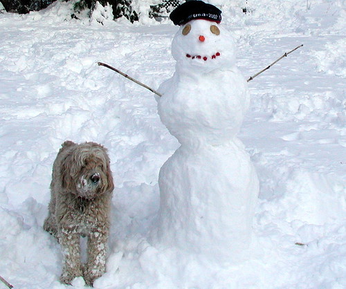 biscuit and snowman