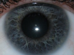 My Eye