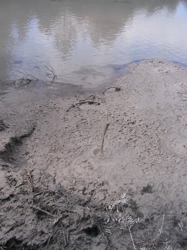 bubbling mud