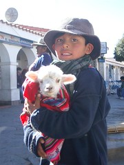 Humahuaca - 09 - Boy Llama