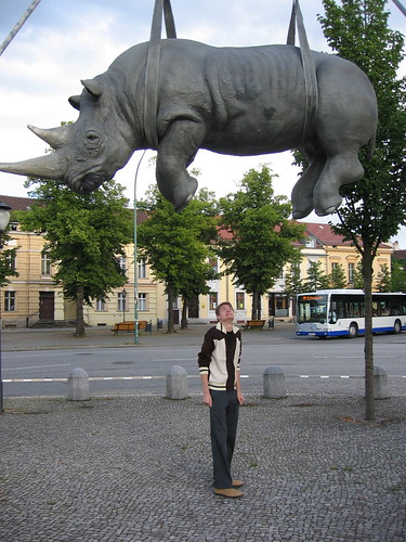 Rhino in Potsdam