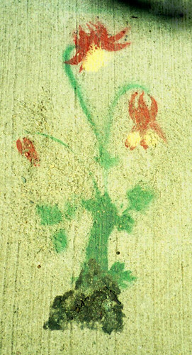flower stencil