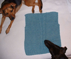 Maggie and Otter check out Amy's Boogie Vest