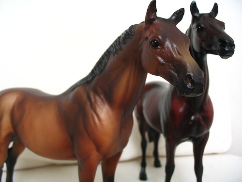 sadie's horses