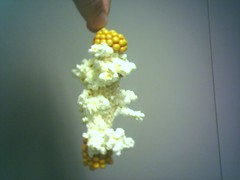 Popcorn on the cob popped