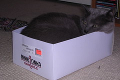 Artemis in a box