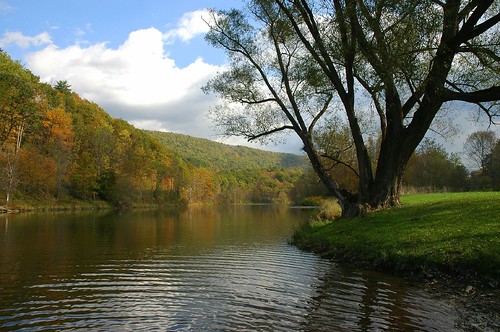 West Branch of the Delaware River