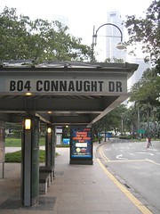 Connaught Drive bus stop