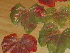 leaves close up