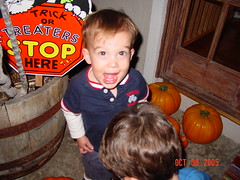 Drew excited about the pumpkins