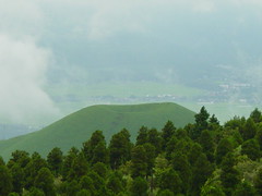 Rice Mound