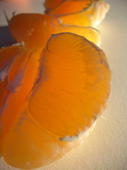oranges lit by sun