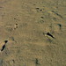 Ibiza - Footprints in the Sand