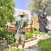 Ibiza - Cas Gasi Ibiza - Organic Grown Vegetable G