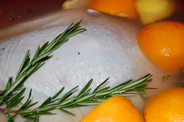 Brining the turkey | Flickr - Photo Sharing!