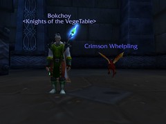 bok and whelpling