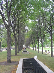 Allee of trees near Daley Bicentennial Plaza