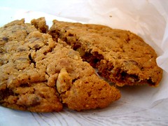 chocolate chip walnut cookie
