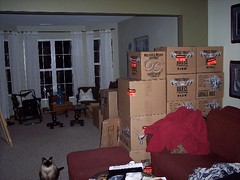 Boxes in Family Room