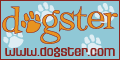 Dogster, for the love of dogs
