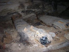 Tomb of the Golden Mummies