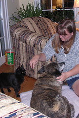 Me with one of the many cats and one of the many dogs at the B&B