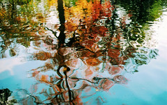reflections of autumn (film)
