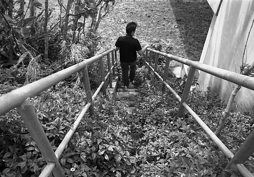 石垣島の階段