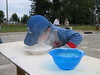 Searching in flour