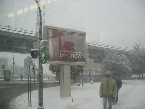 life is now. life is snow