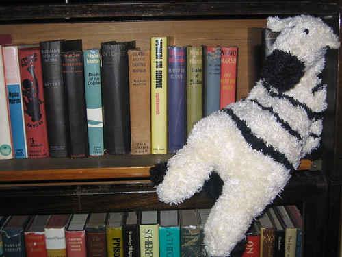 Zebras in the bookcase