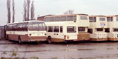 FC082788. SYT depot, Dunscroft. 21-03-1982.