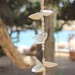 Ibiza - shells from Ibiza