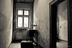 La habitación del miedo / The fear room. Auschwitz 2013