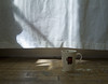 curtain and domokun mug