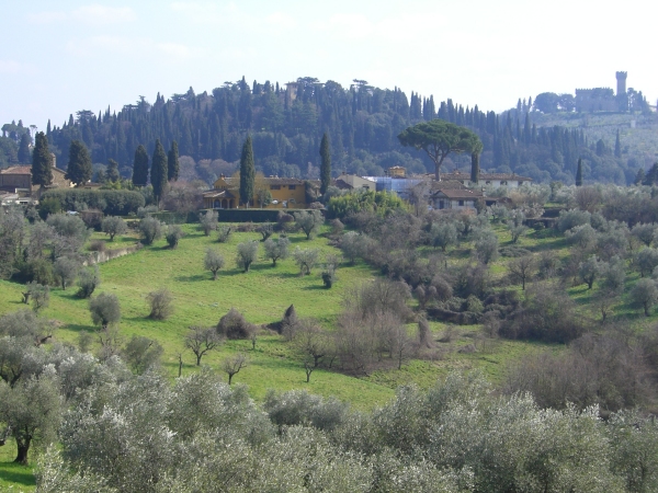 Florence- Landscape