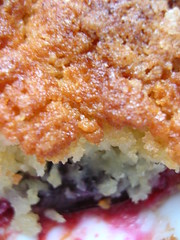 plum crumble (close-up)