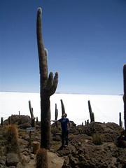 Salar Trip - 49 - Matt 12m cactus 1200 years old