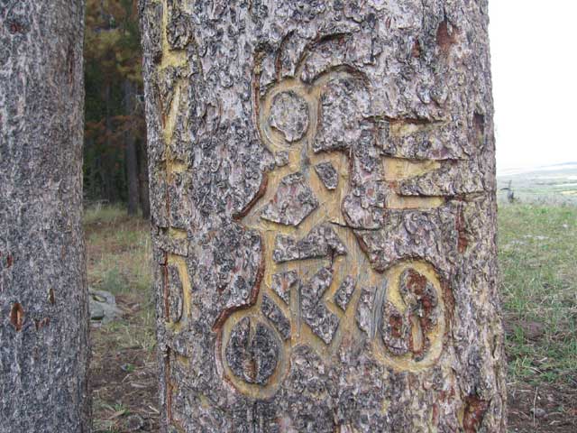 'ride the divide' carving close-up