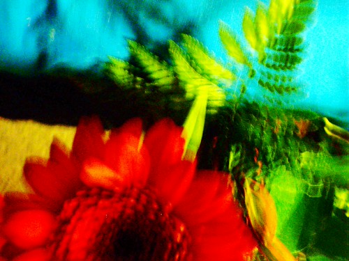 IMAG0033