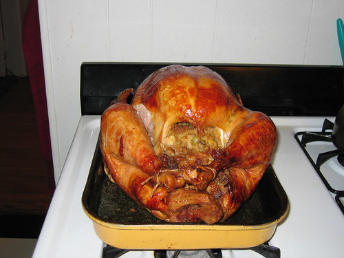 martha stewart turkey 101