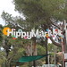 Ibiza - HippyMarket