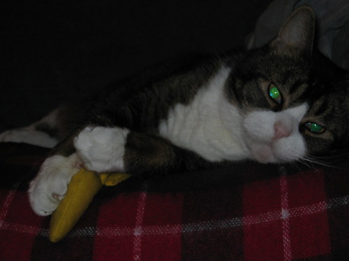 Sprout and his banana