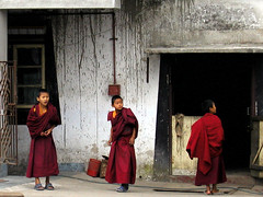 Novice Monks, Darjeeling