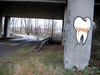 Molar Graffiti